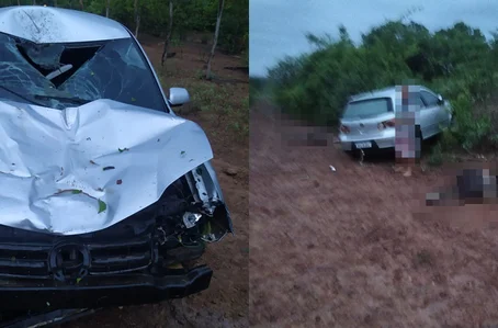 Motorista fica ferido após colidir em animais no Norte do Piauí