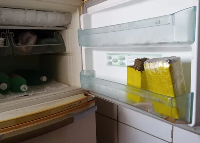 Droga escondida no congelador da geladeira