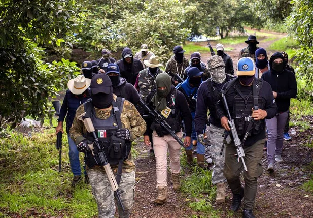 Grupo de autodefesa Povos Unidos protege plantações no Estado de Michoacán