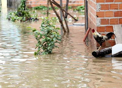 Fortes chuvas em Teresina atingiram moradores da Vila Apolônio, zona Norte de Teresina