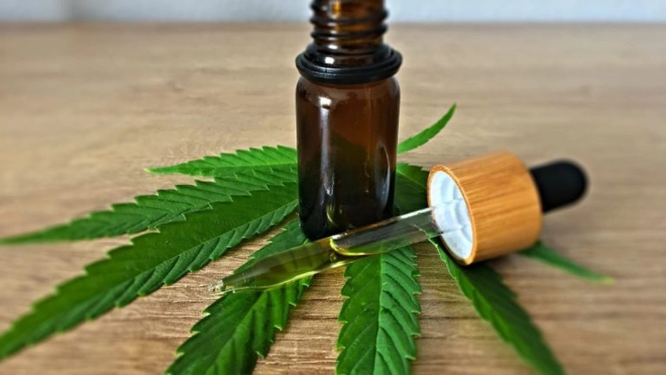 CFM suspende norma que restingi prescrição da cannabis medicinal