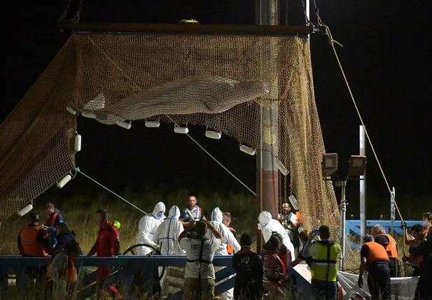 Beluga é içada em rede durante tentativa de resgate no rio Sena.