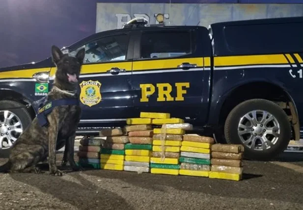 PRF apreende mais de R$ 7 milhões em cocaína em Timon