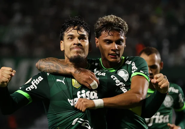 Palmeiras volta a vencer no Brasileirão