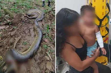 Criança sofreu apenas ferimentos leves e a cobra foi sacrificada