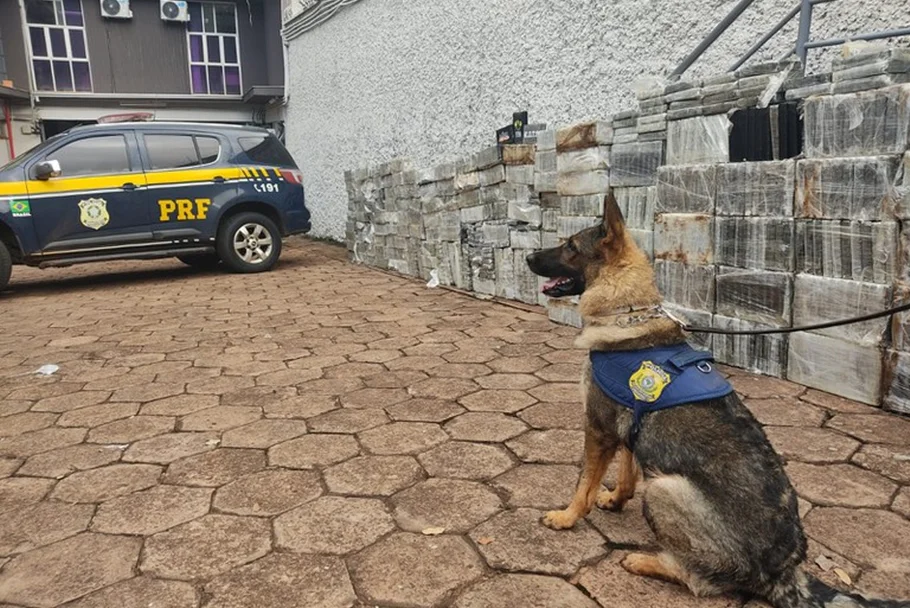 A droga foi detectada por dois cães da PRF