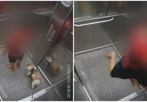 Criança pula até o teto de elevador para salvar cadela em GO