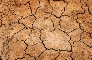Municípios piauienses sofrem com a seca