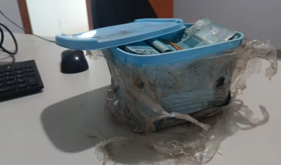 Dinheiro estava escondido dentro de um pote de sorvete ao limpar jardim de casa recém-comprada na cidade de Palmas