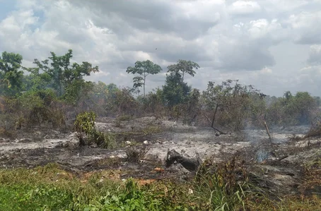 Incêndio em terreno baldio da cidade de Barras