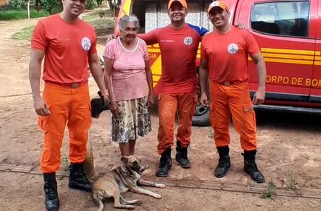 Cadela Pintadinha foi resgatada pelos bombeiros