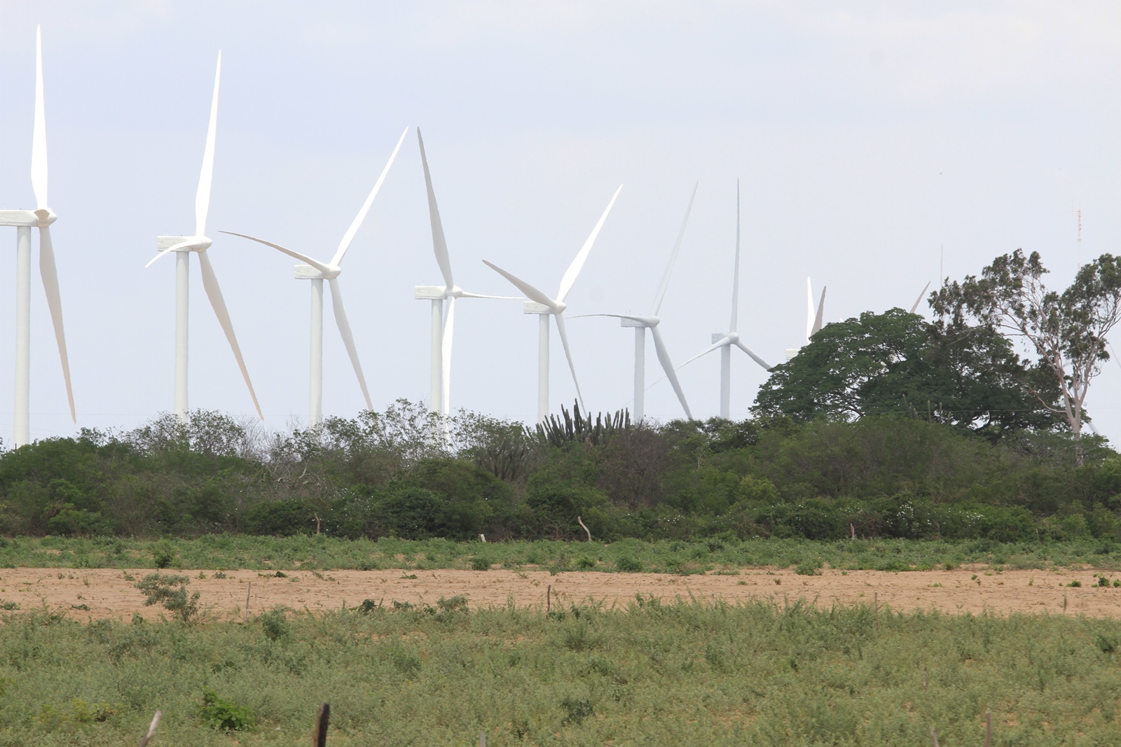 Complexo Eólico dos Ventos do Piauí
