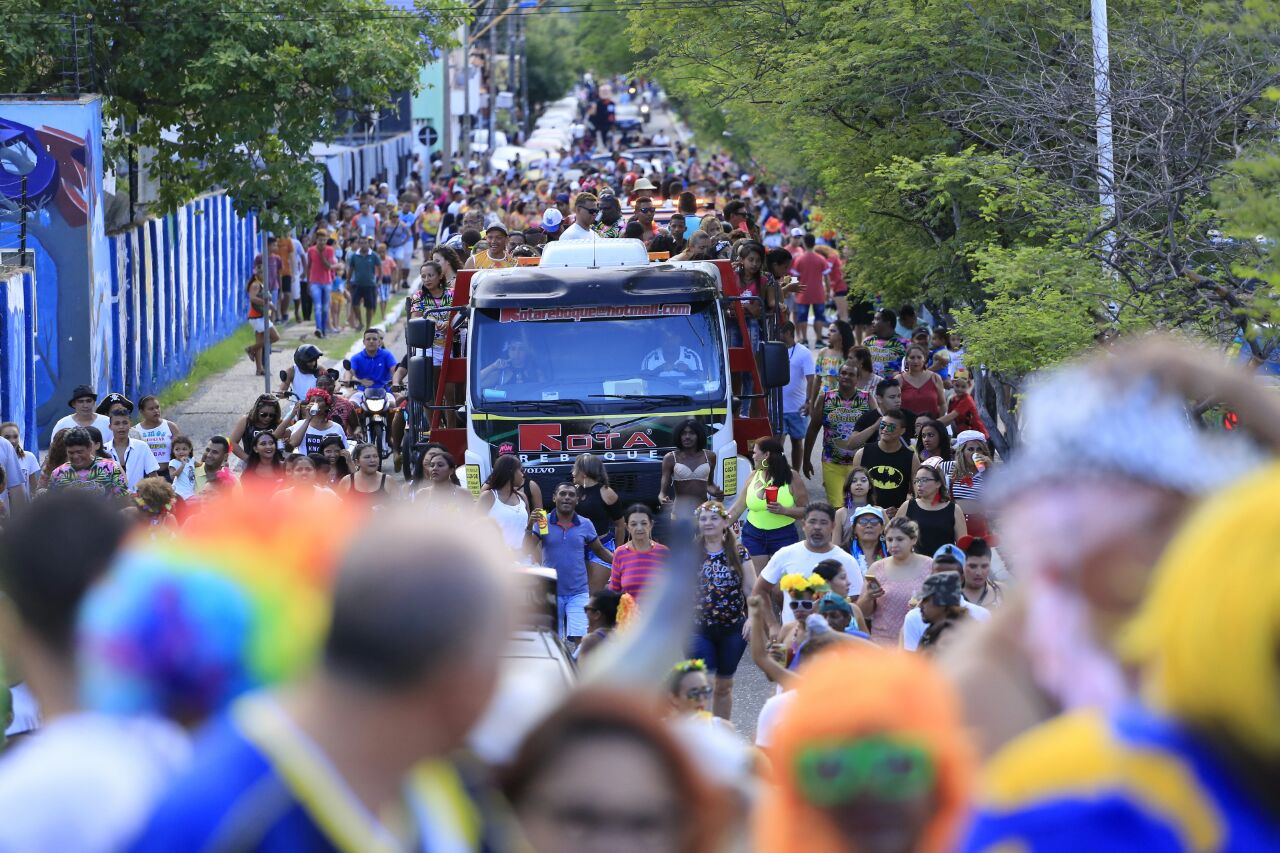 Muitos foliões participam do bloco Vaca Atolada na segunda-feira de Carnaval