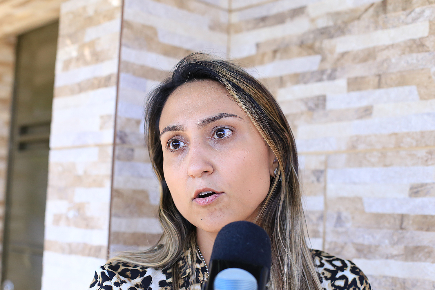 Delegada Luana Alves