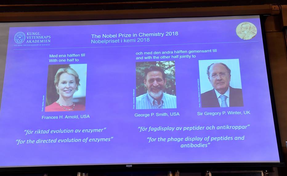 Cientistas conquistam Nobel de Química por desenvolvimento de proteínas