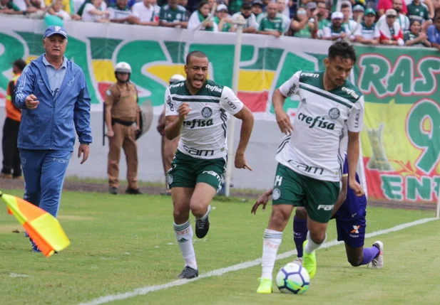Palmeiras durante partida pelo Brasileirão