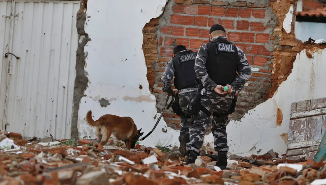 Polícia com cão farejador procurando por armas no local