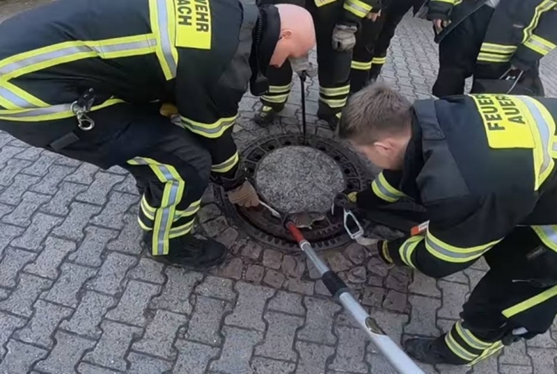 Rato é resgatado por bombeiros na Alemanha