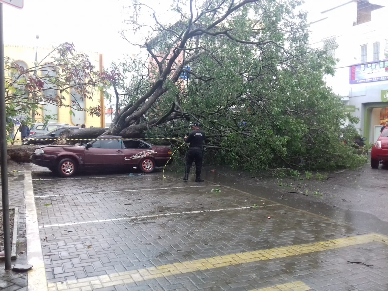 Árvore cai sobre carro em Parnaíba