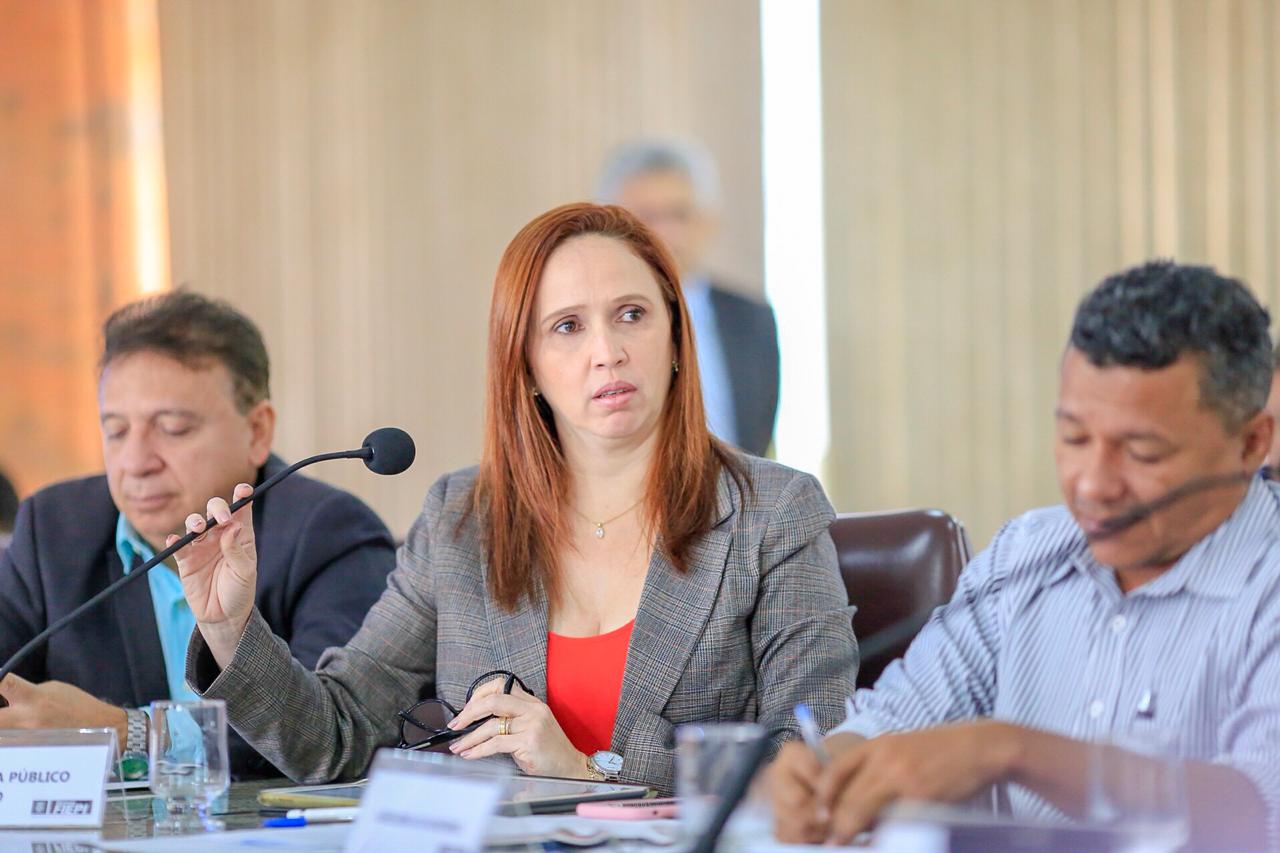 Viviane Moura, Superintendente de PPPs do Piauí