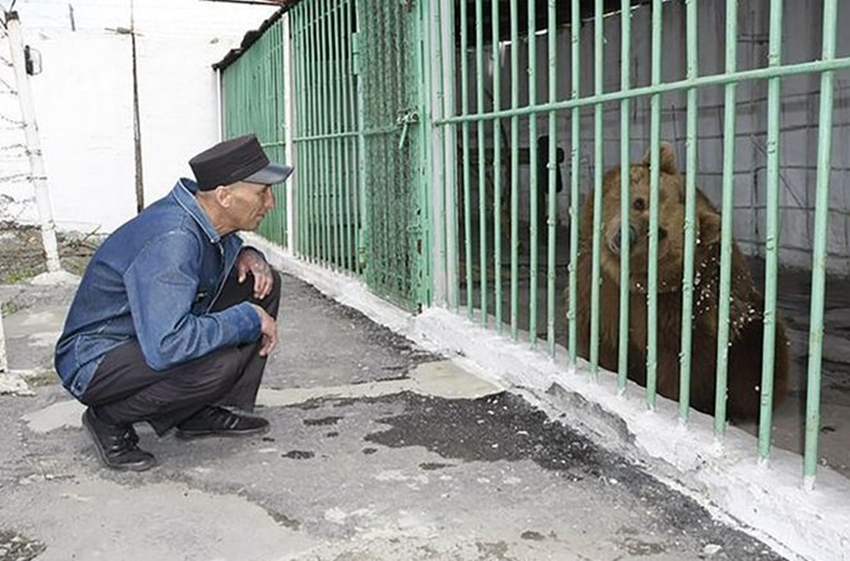 A ursa já cumpriu 15 anos de prisão