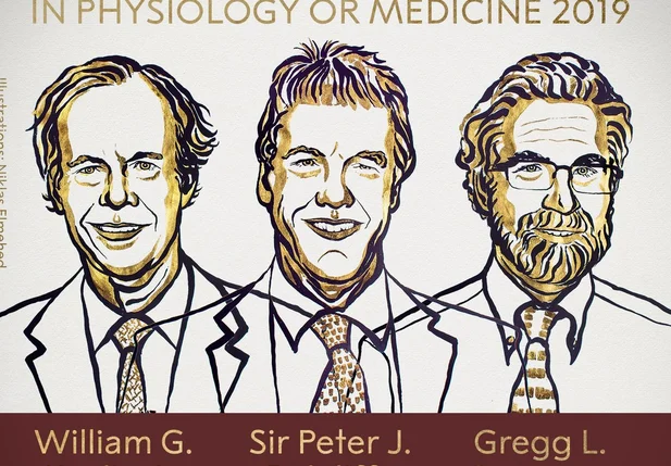 Ganhadores do Nobel de Medicina 2019